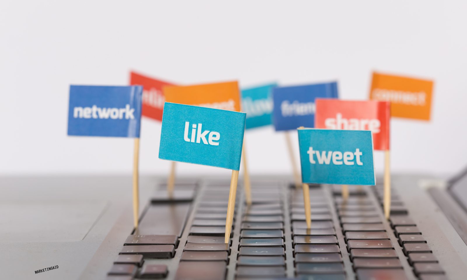 TikTok vs Instagram vs Facebook: What Works for Jacksonville Businesses in 2025? 2 TikTok Instagram or Facebook Where to Focus on 2025 Blog Banner